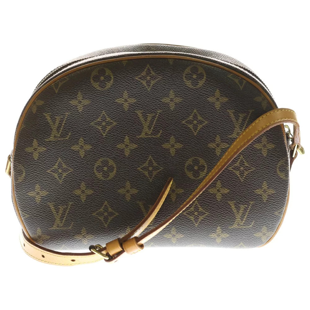 Louis Vuitton Bag Monogram Blois Brown Shoulder Leather